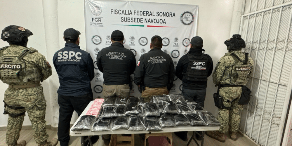 Detienen en Sonora a hombre con 32 kg de fentanilo ocultos en cargamento de nopales