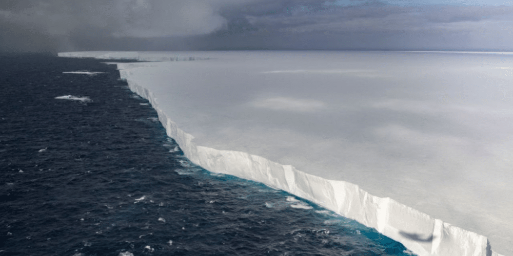 El iceberg más grande del mundo, A23a se detiene frente a Georgia del Sur