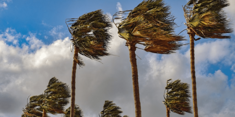 Oleaje, vientos y altas temperaturas el clima extremo se apodera del país