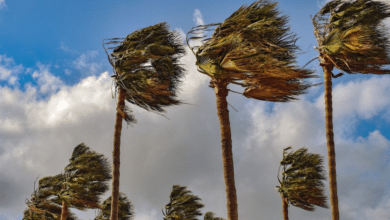 Oleaje, vientos y altas temperaturas el clima extremo se apodera del país