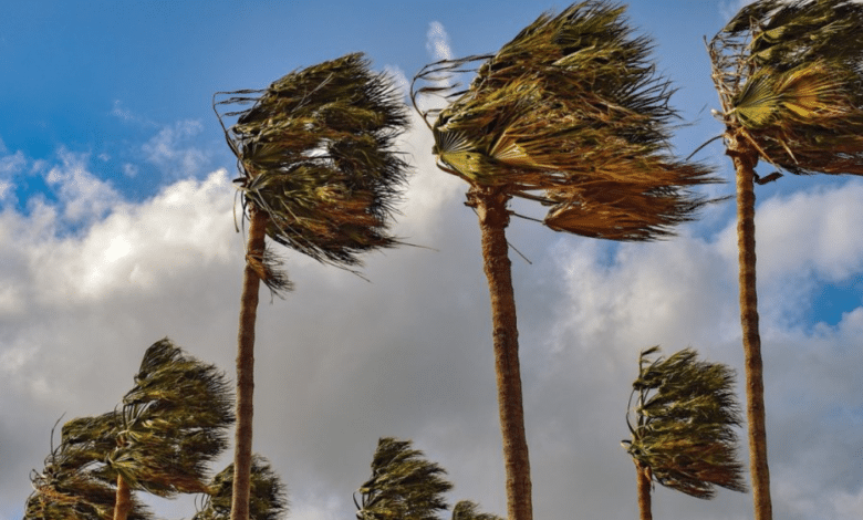 Oleaje, vientos y altas temperaturas el clima extremo se apodera del país