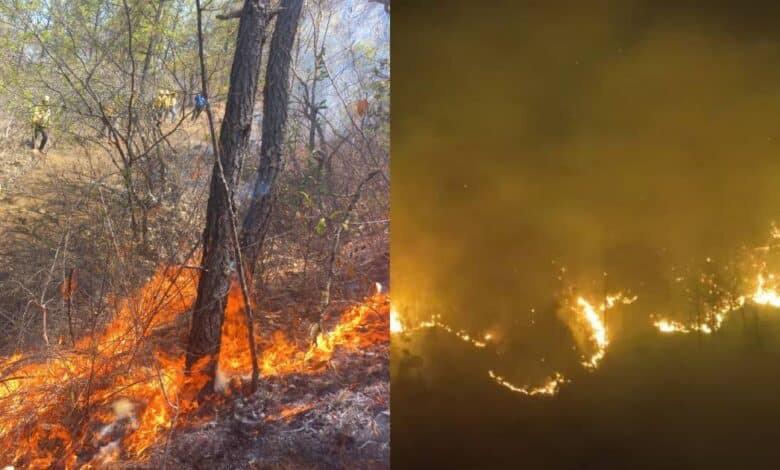 Incendios en Oaxaca bajo investigación