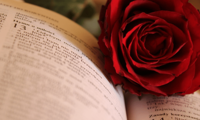 Libro y rosa