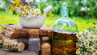 5 hierbas medicinales que ayudan a desinflamar el estómago