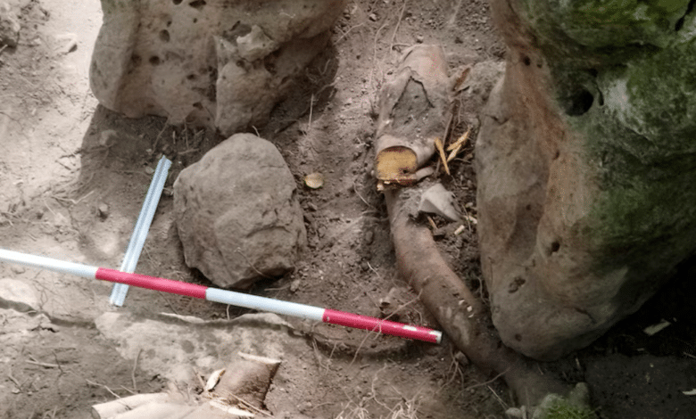 Guatemala revela ciudad maya de 2,800 años con pirámides y figuras ancestrales (Foto por AFP)