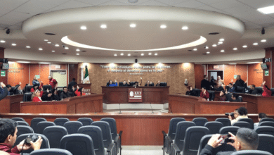 Iniciativa para garantizar la representación política de personas con discapacidad