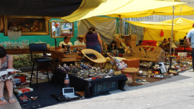 La Lagunilla_ un tesoro dominical en el corazón de la CDMX
