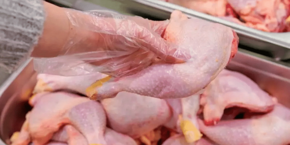 Protección sanitaria México suspende importaciones de pollo desde Brasil