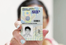 SEP simplifica trámite de cédula profesional en línea