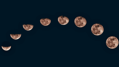 Calendario lunar 2025 fases de la Luna en junio
