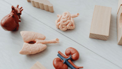 Microbiota