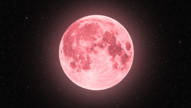 Luna de Fresa 2025_ consejos para ver el fenómeno astronómico