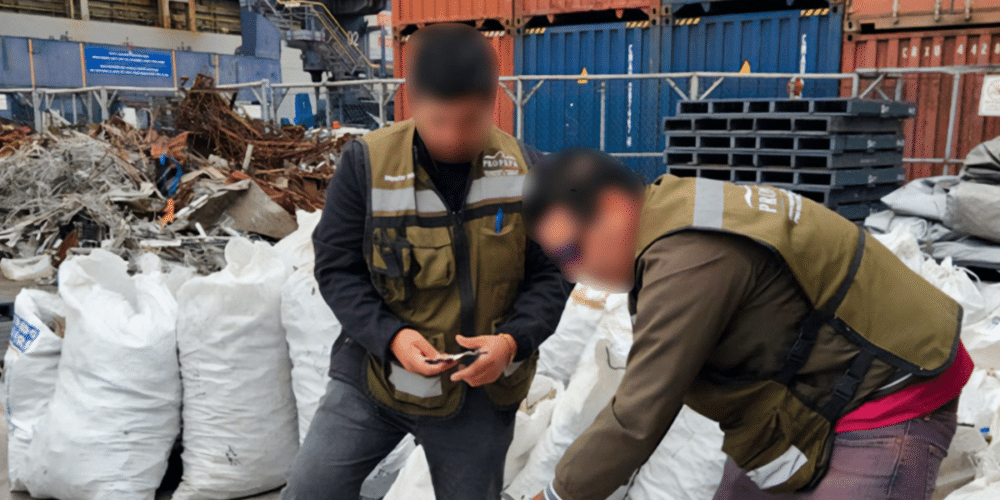Profepa asegura 2,433 kilos de aletas de tiburón que pretendían llevar a Shanghai