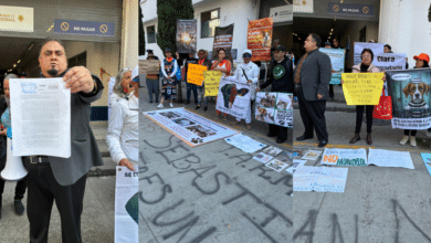 Animalistas exigen a la FGJCDMX devolver más de 800 animales al Refugio Franciscano